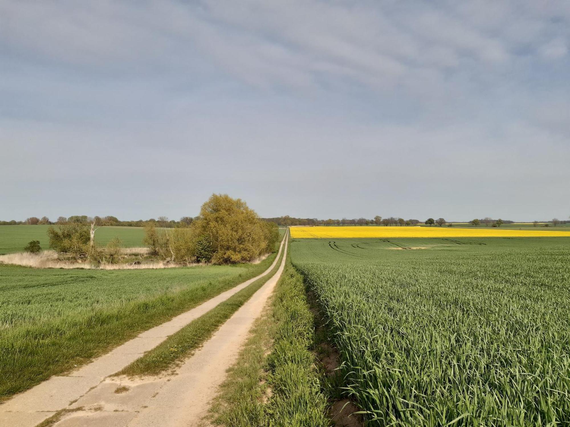 Kulturfreizeiten Ferienwohnungen Neuruppin Exterior foto